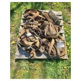 Cargo Straps and Ratcheting Tie Downs