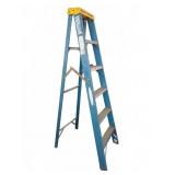 Werner 6 Foot Fiberglass Step Ladder