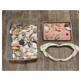 Box of Seashells
