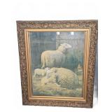 Framed Sheep Print with Ornate Frame 21x25