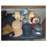 Hats Lot - Brands and Styles