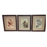 (3) Bird Watercolors, Ruth Hoyler, Framed