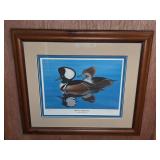 Hooded Mergansers Print by Alan R. Hart, 1979