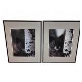 (2) Framed Wolf Prints, Each 16"x20"