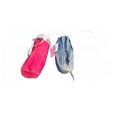 5 Camping Items Including Coleman Tent