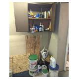 Automotive Fluids Cleaners and Spill Absorbent