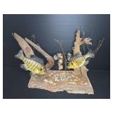 Taxidermy Bluegill Fish Driftwood Diorama Display