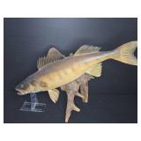 Mounted Walleye Fish Taxidermy on Wood Base