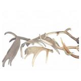 Antler Sheds Lot