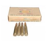 24 Rounds 300 Savage Ammo
