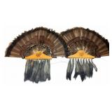 Quaker Boy Turkey Tail Display Plaques Pair
