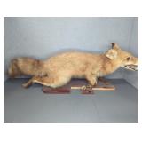 Mounted Fox Taxidermy on Wood Base