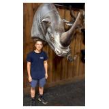 Large Cast Rhinoceros Wall Mount