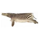 Tanned Zebra Hide with Tail and Mane