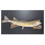 Mounted Northern Pike Taxidermy Fish on Driftwood