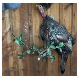 Wild Turkey Taxidermy Mount on Branch Display