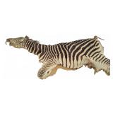 Fully Preserved Zebra Hide w/ Head & Partial Legs