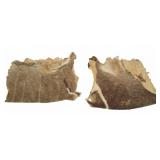 Tanned Animal Hides with Brown Fur