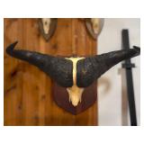 Cape Buffalo Skull w/ Horns on Wood Plaque