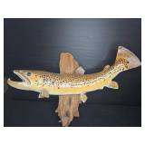 Brown Trout Fish Wall Mount On Wood Plaque