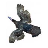 Wild Turkey Full-Body Taxidermy Wall Mount