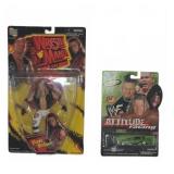 WWF Figure & Attitude Racing Diecast Car