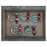 5 Forged Steel Bow Shackles with Pins