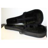 2 GUITAR CASES