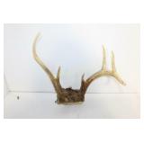 3 SETS OF DEER ANTLERS