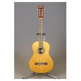 Jasmine Acoustic Guitar