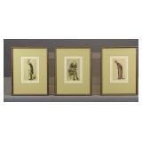 Spy Prints