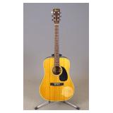 Jagard Acoustic Guitar
