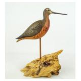 Shorebird