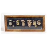 Lot of Framed Medals