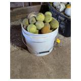 BASEBALL AND TENNIS BALL COLLECTION