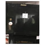 Sentinel pistol safe