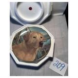 Dog Plate