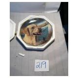 Dog plate