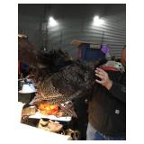 Stuffed turkey