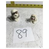Two small dogs