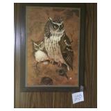 Owl picture