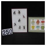 Framed collection of Teddy Bear post cards