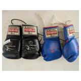 2 Pair Century Kickboxing Gloves