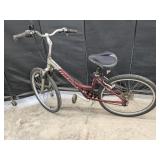 Raleigh Women's Mountain Bike