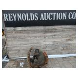 Chainsaw Carving Bear Sitting in Tree