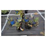 7 MIXED VARIETY PERENNIALS