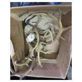 Box w/Deer Antlers