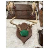Deer Antlers  wall hanging decor