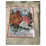 Hardy and half Hardy climbers flowers vintage 10