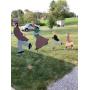 Gross Family Online Auction